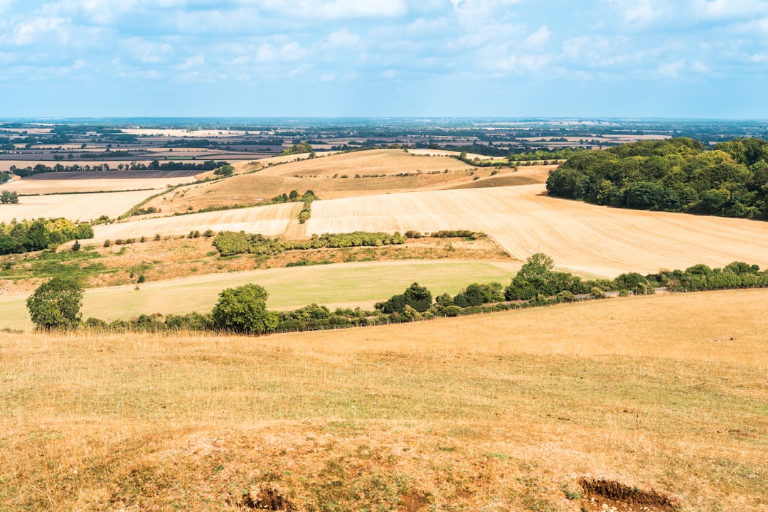 Hertfordshire city scene