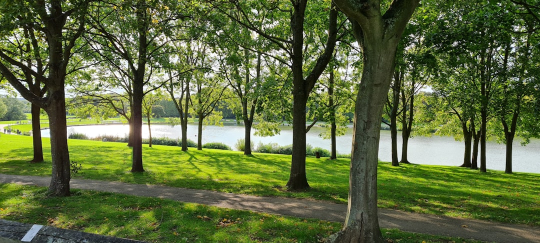 Stevenage, Hertfordshire: green grass field with trees during daytime